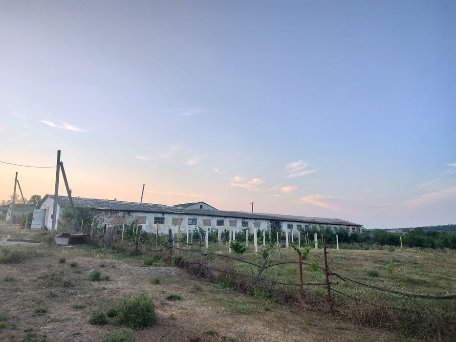 Продаються Ферми