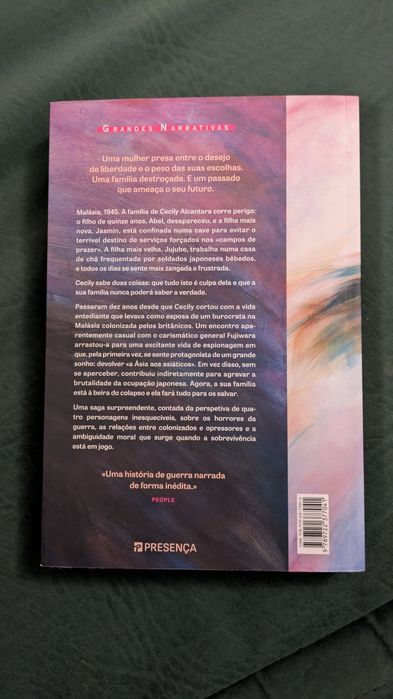 Livro "A Tempestade que Criámos" de Vanessa Chan