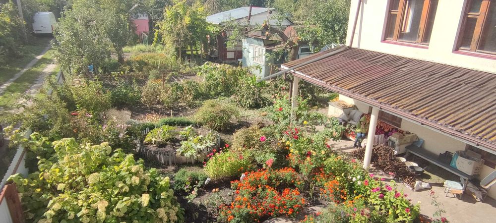 Без% Участок та два дома ГЛЕВАХА - 3 - Садові участки