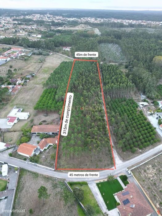 13,730 m² Plot for Construction – Premium Location and High Potential