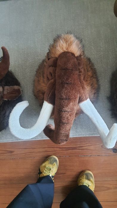 troféus em Peluches para parede - Quarto de criança