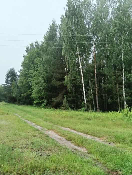 Działka rekreacyjna 1,26 ha.