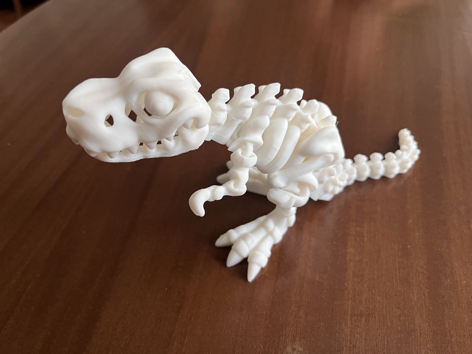 Szkielet dinozaura  T-Rex