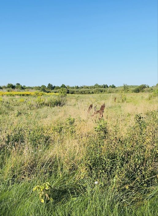 Продам земельну ділянку 2 га над річкою