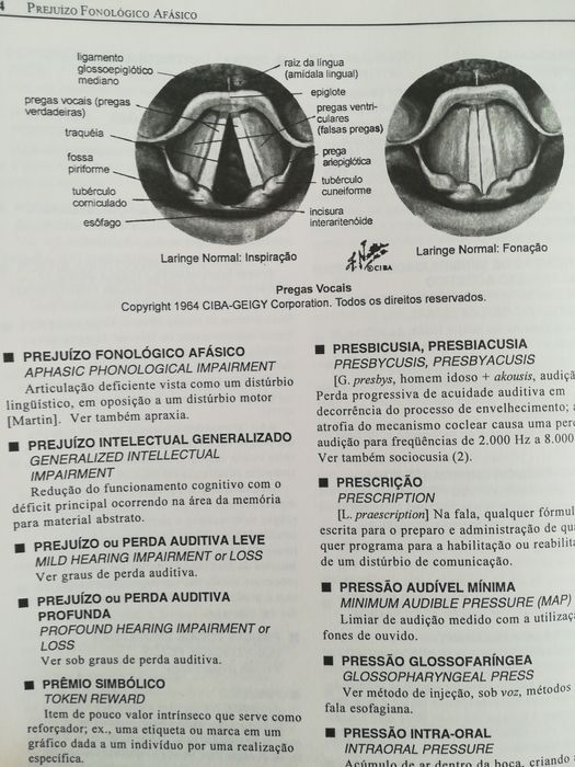 Vocabulário dos distúrbios da comunicação