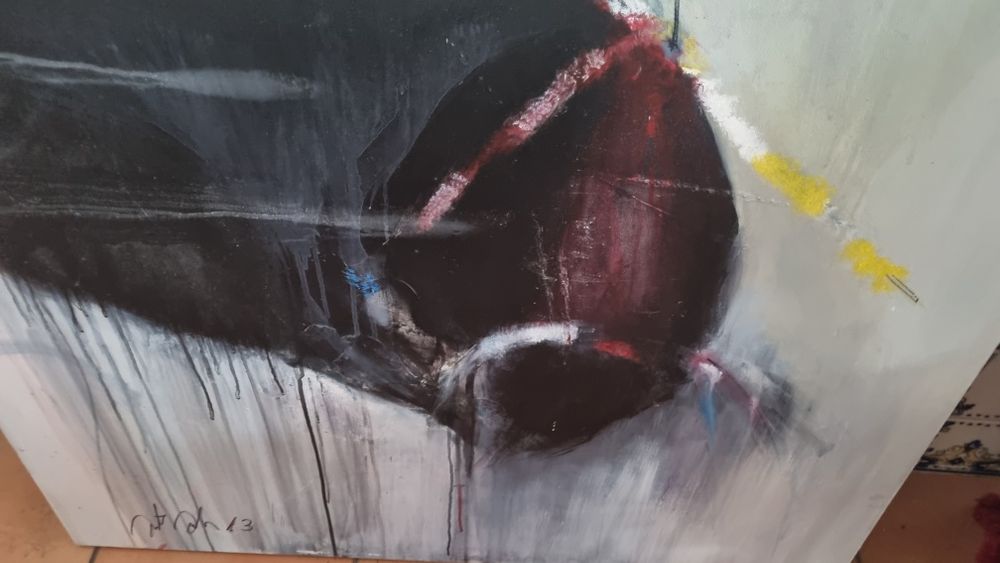 Coleção de quadros de Pedro Freitas , Roxanne bueso e  putros artistas