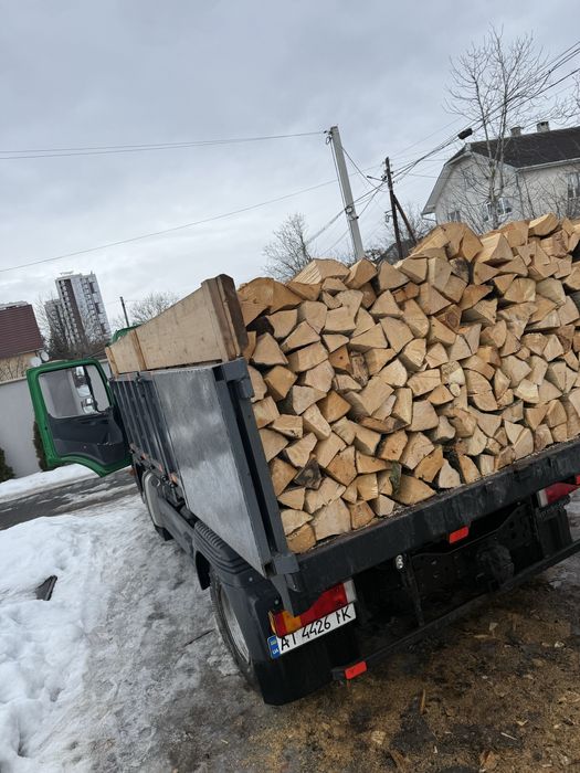Продам дрова різних порід
