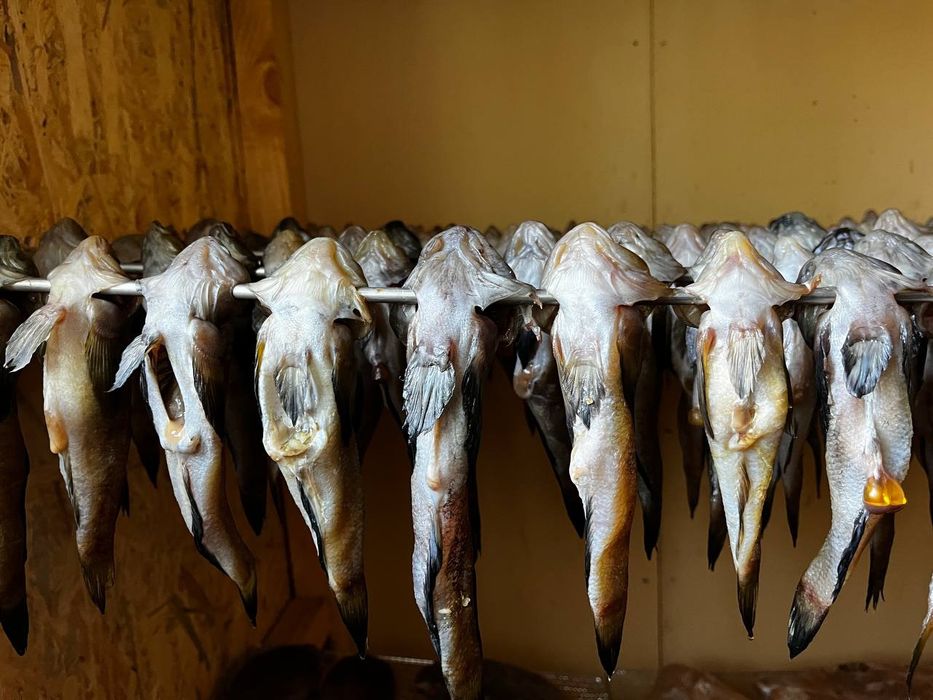 Продам вялену рибу.