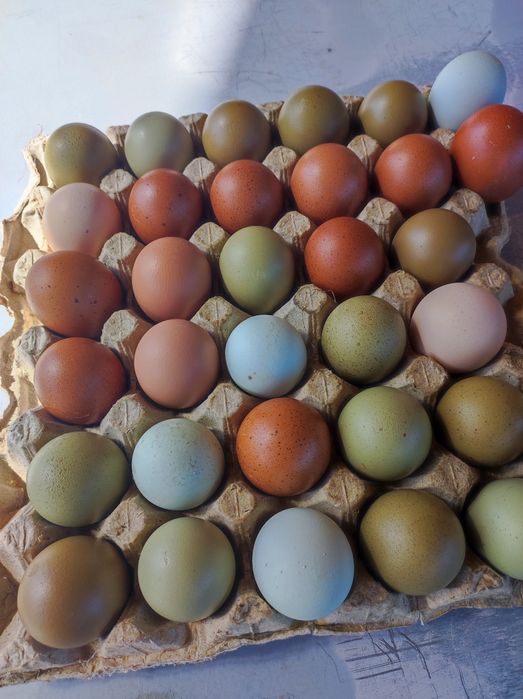 Пасхальні кольорові яйця мікс