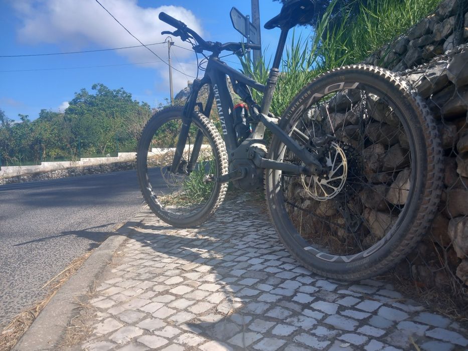 Specialized turbo levo