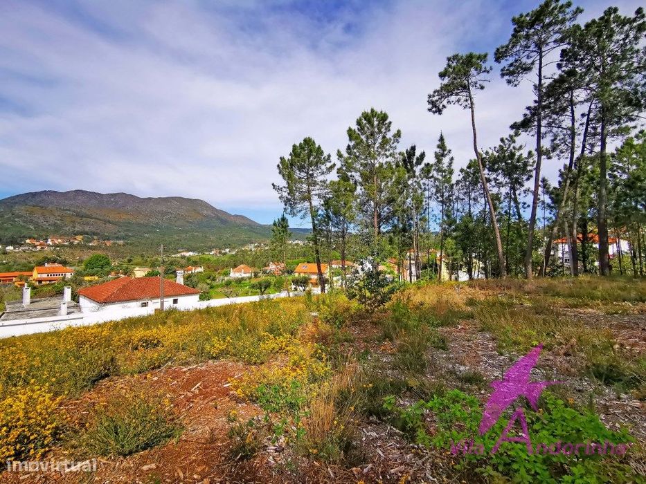 Terreno em Nogueira com vista desafogada