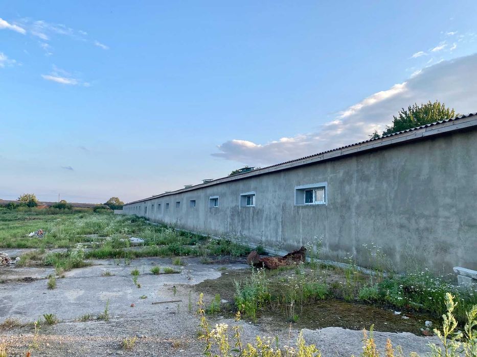 Продаж тваринницької ферми в Мізяківських Хуторах