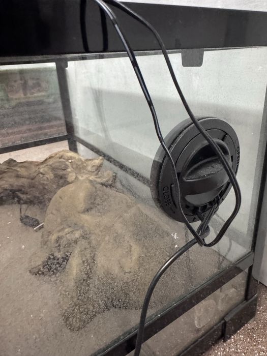Terarium Repti Zoo- 60x45x32