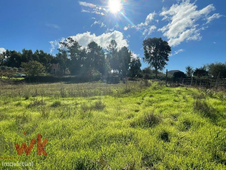 Terreno de 3.750m2 a 5 Minutos de Oliveira do Hospital