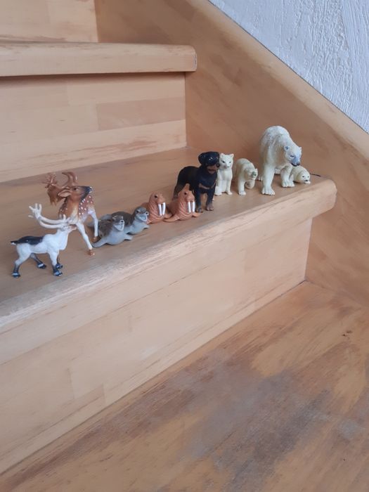 Фігурки тварин Safari, k&m