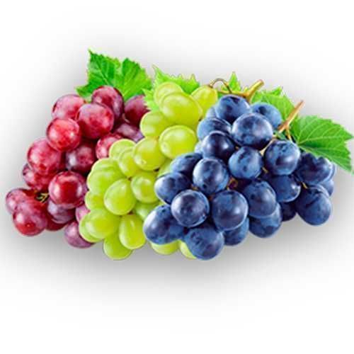 Продам саджанці винограду різних сортів