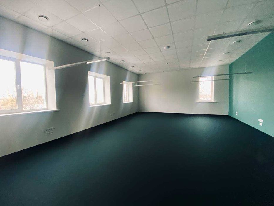 MS S4 Сдам большое офисное помещение Гагарина, Молочная 38