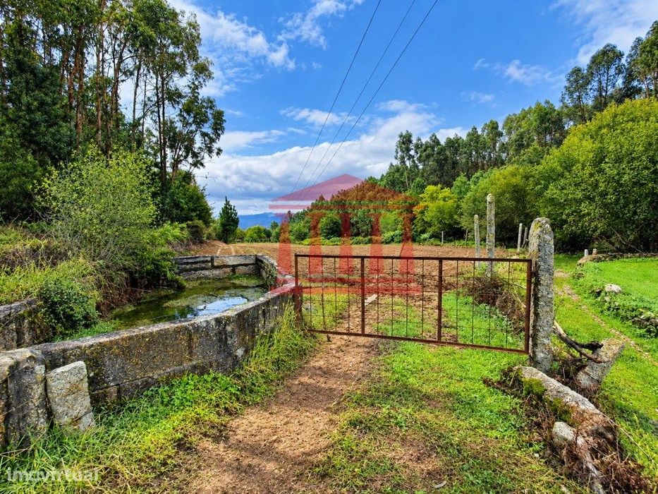 Terreno Agrícola Para Venda Em Igreja Nova - Barcelos