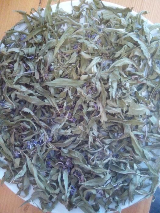 Іван чай  Кіпрей з Карпат 2024