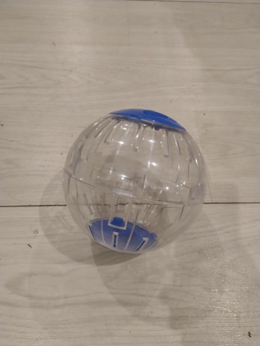 Kula do biegania dla chomika