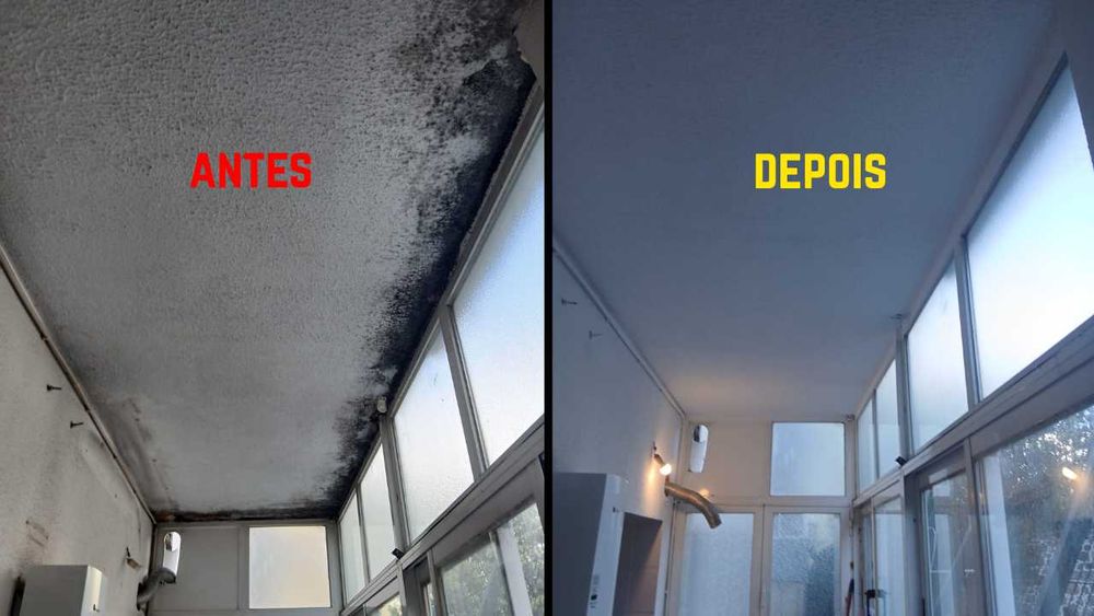 Jardinagem & Pinturas | Serviço Profissional e Rápido