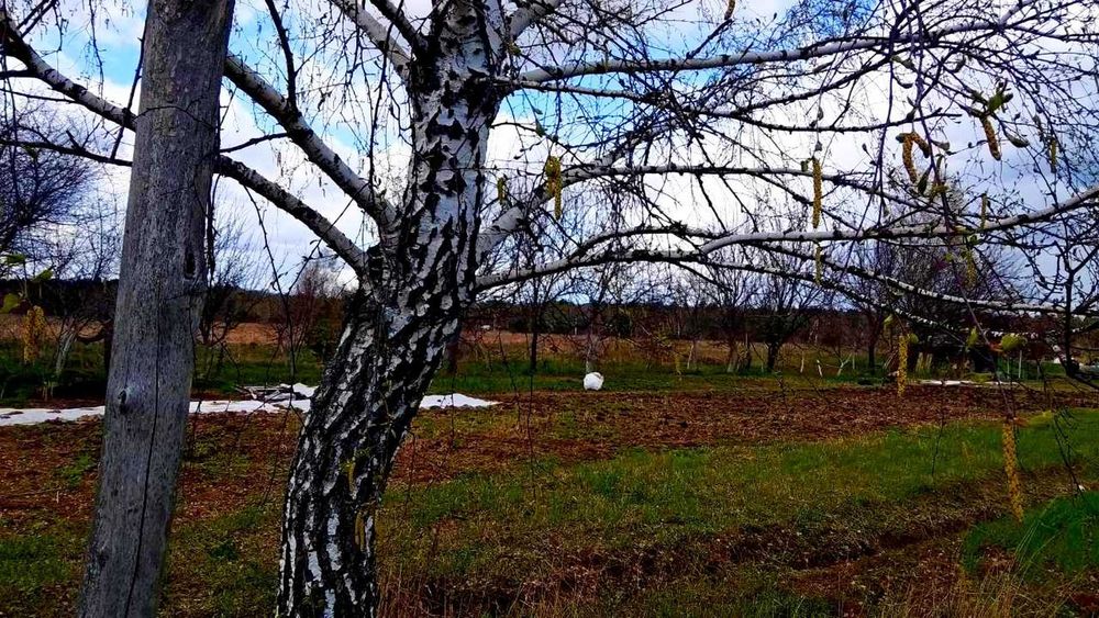 TO Земельна ділянка під будівництво у передмісті Чернігова