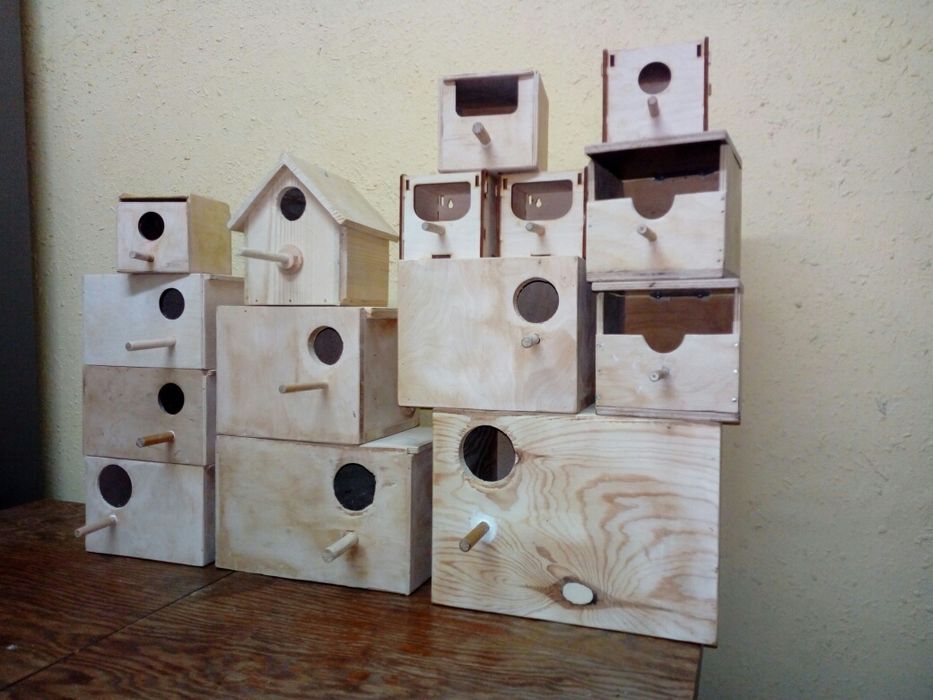 Budki lęgowe dla ptaków