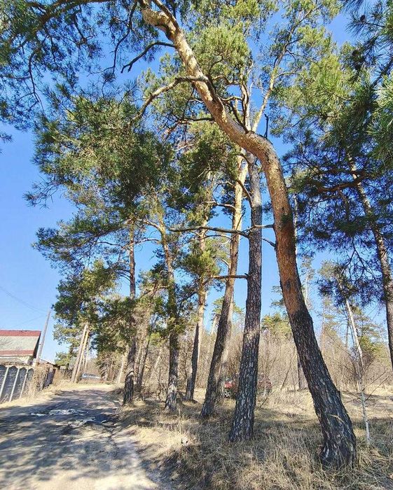 Продам приватизовану дачу у Пролетарському Гаю, біля озера Земснаряд.