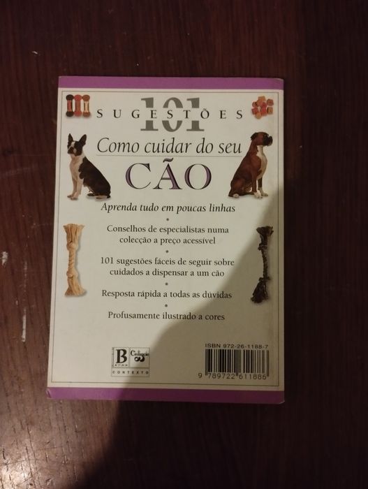 Como cuidar do seu cão