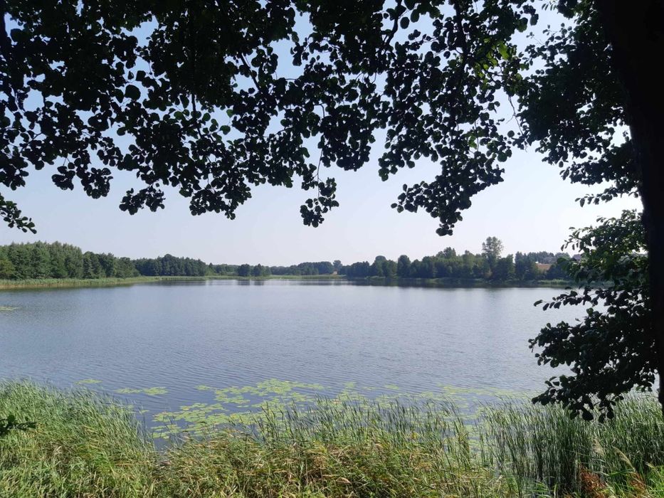 Domek nad jeziorem Chalińskim w Rybinach.