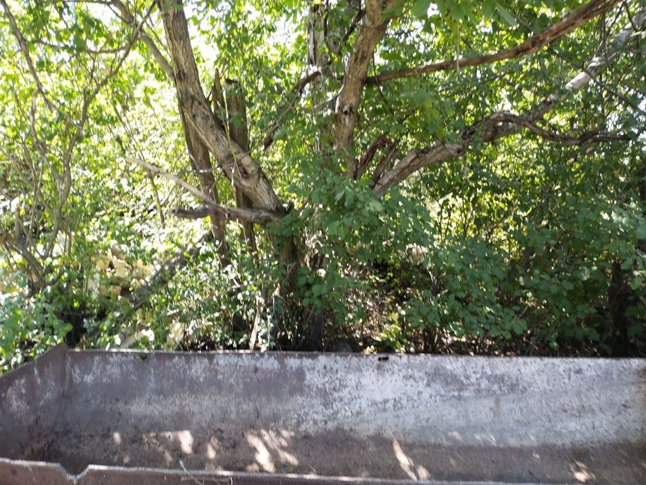 Будівельне корито (бад'я) для розчину