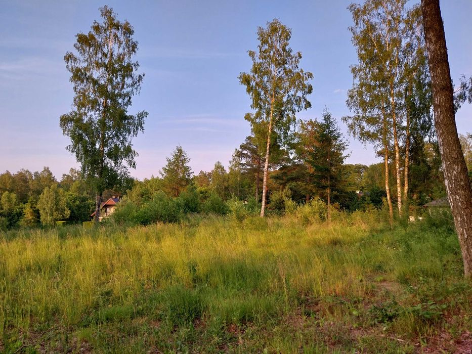 Działka budowlana z mediami 1280 m², Rekowo Górne ul. Świerkowa - Widok 5
