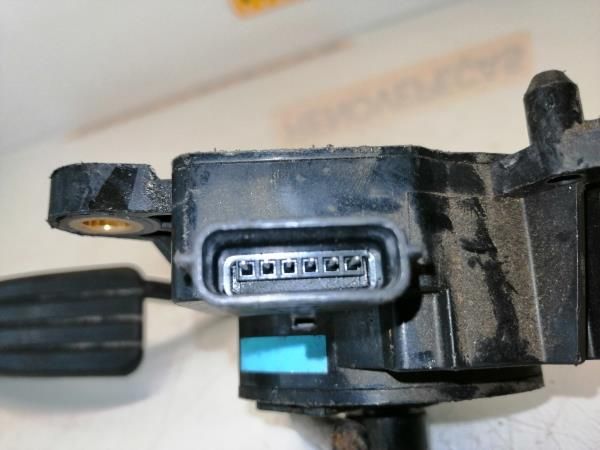 Pedal do acelerador RENAULT Clio III (BR0/1, CR0/1)