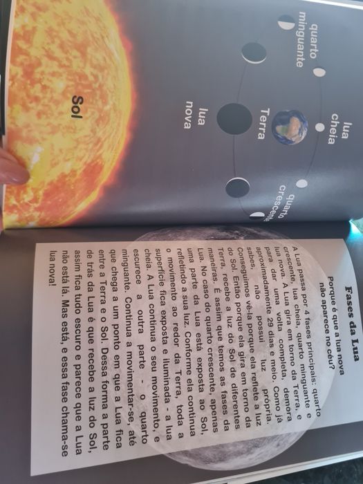 O Portal Dourado- Uma aventura no Planeta Azul (volume 1)