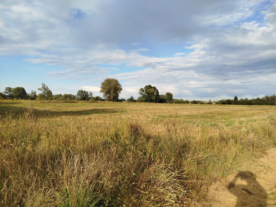 Sprzedam działkę - Widok 5