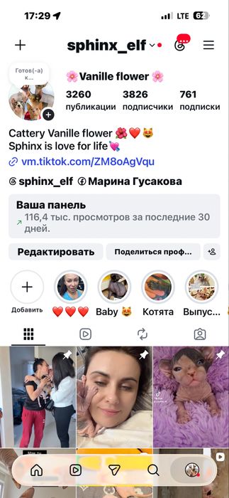 Канадский сфинкс