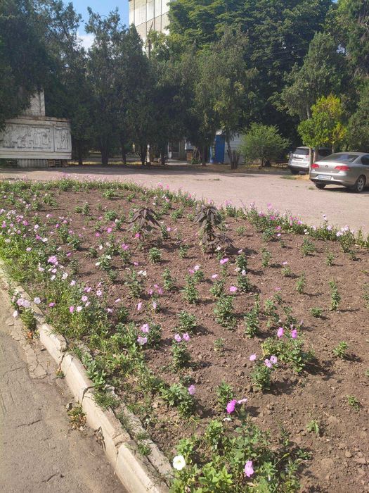 Перспективная квартира на Черемушках. К-90