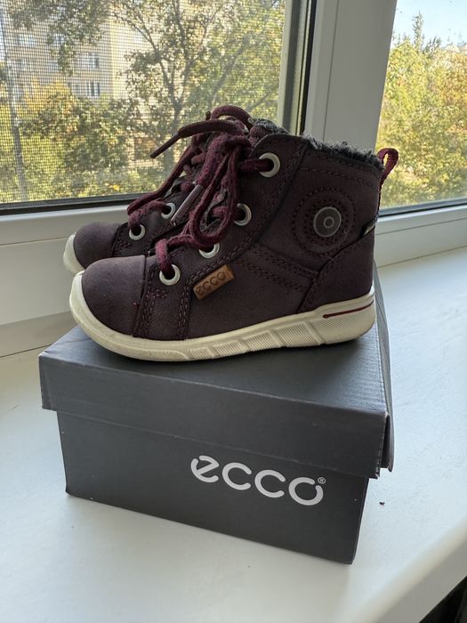 Чоботи єврозима Ecco