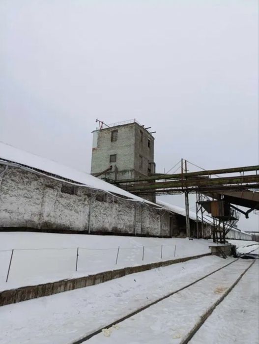 Продаж діючого елеваторного комплексу