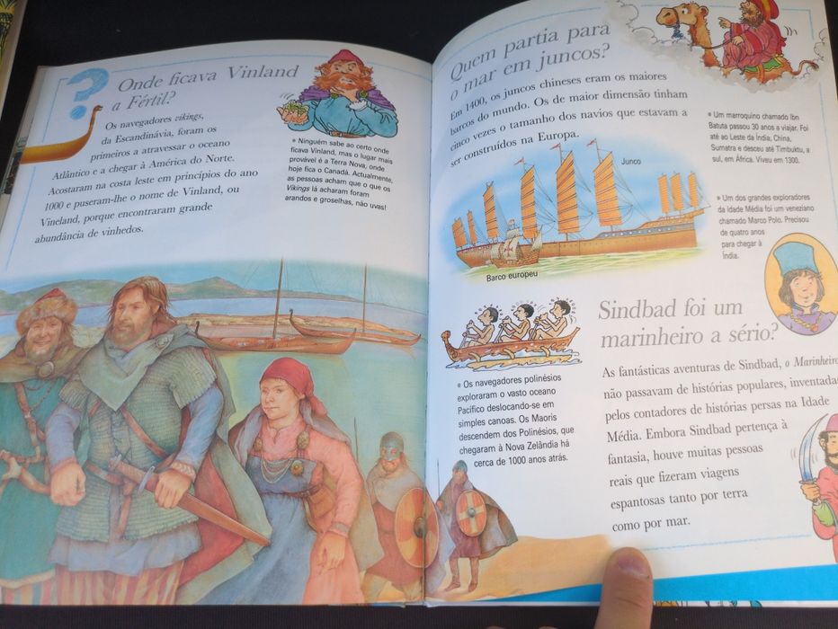 Porque Será Que os Castelos tinham fossos