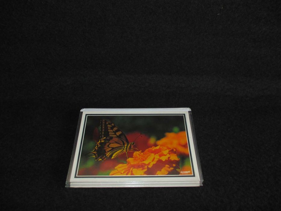 Bilhete Postal Natureza Insectos 1989 Postais