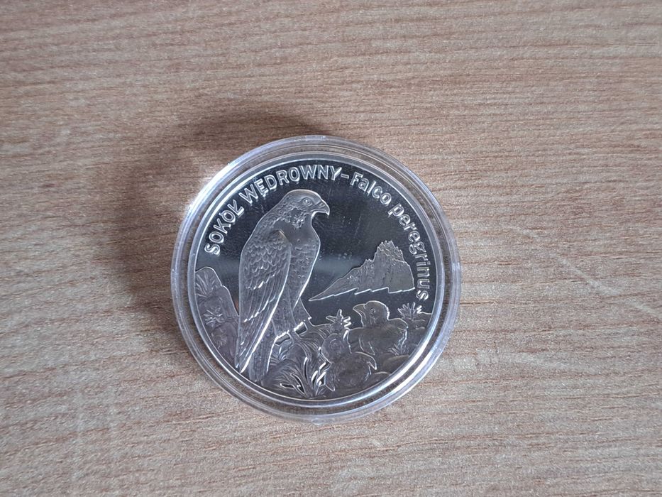 Moneta 20 zł - Sokół wędrowny NBP 2008