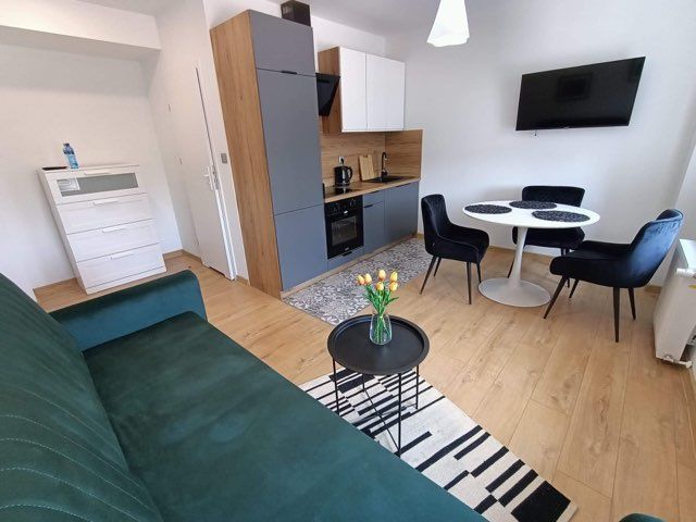 Apartament do wynajęcia na godziny! 130 zl ! Katowice