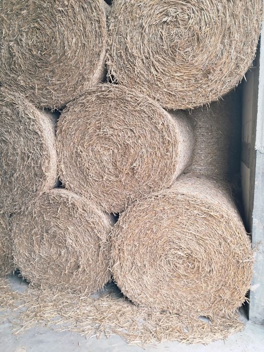 Słoma w belach 125