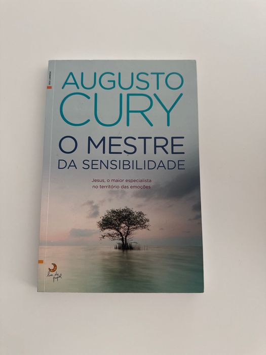 Livro - Augusto Cury - o mestre da sensibilidade