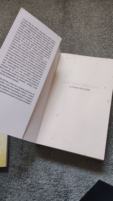 A vinha do anjo , sveva casati modignani