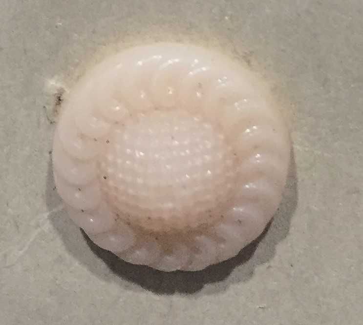 72 Botões antigos em plástico - International - feitos no Brasil