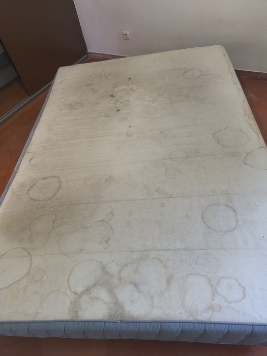 Limpeza sofa’s colchões carpetes