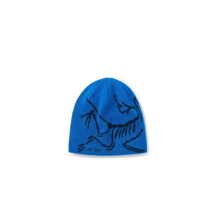 Шапка Arc’teryx Bird Head Toque Fluidity/Labyrinth
