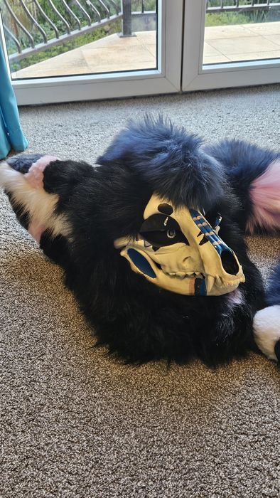 Fursuit skull dog